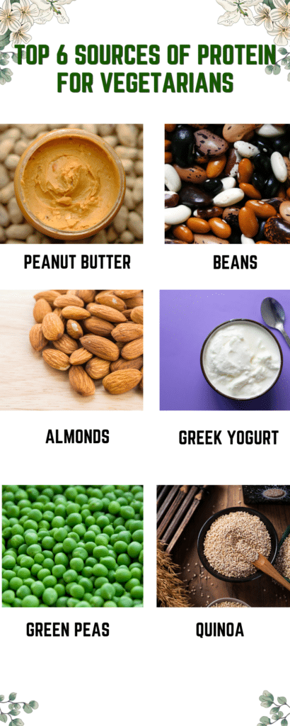 top 6 sources of protein