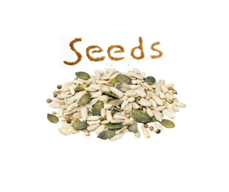 Seeds