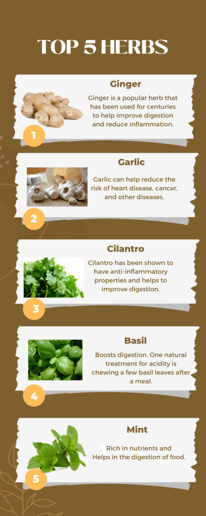 Top 5 Herbs