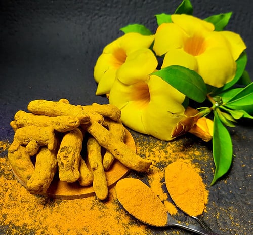 turmeric with yellow flowers