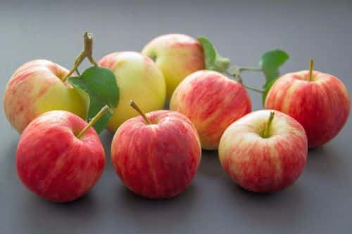 Apples helps in digestion