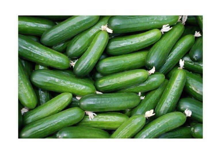 cucumbers