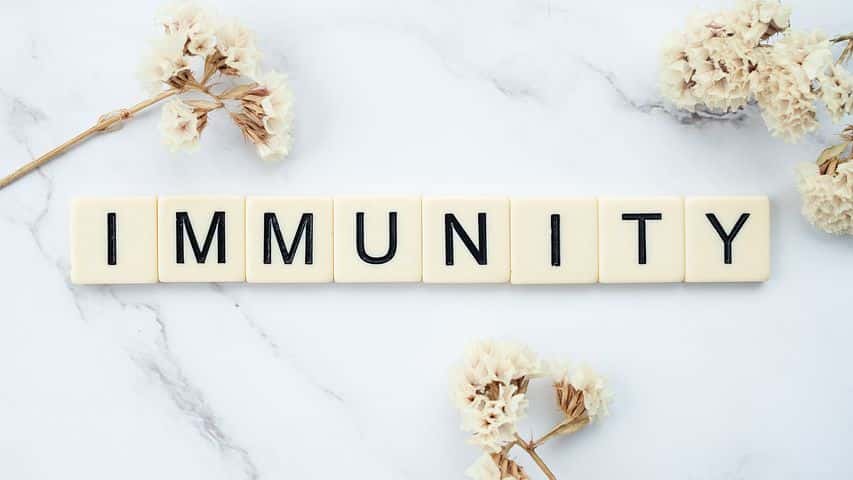 Immunity Text