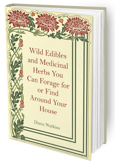 'Wild Edibles and Medicinal Herbs You Can Forage for or Find Around Your House' Book