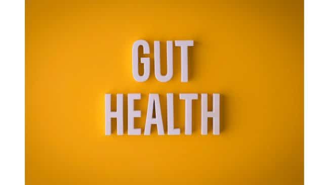 Reset gut health