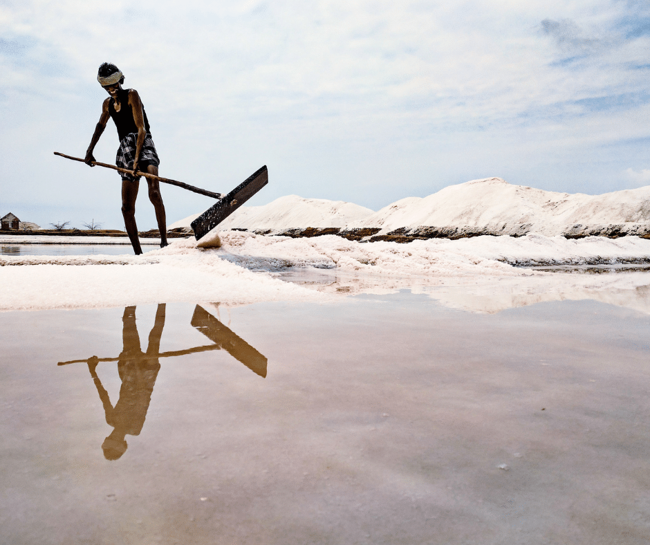 celtic sea salt harvesting