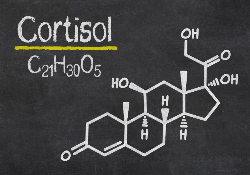 Cortisol