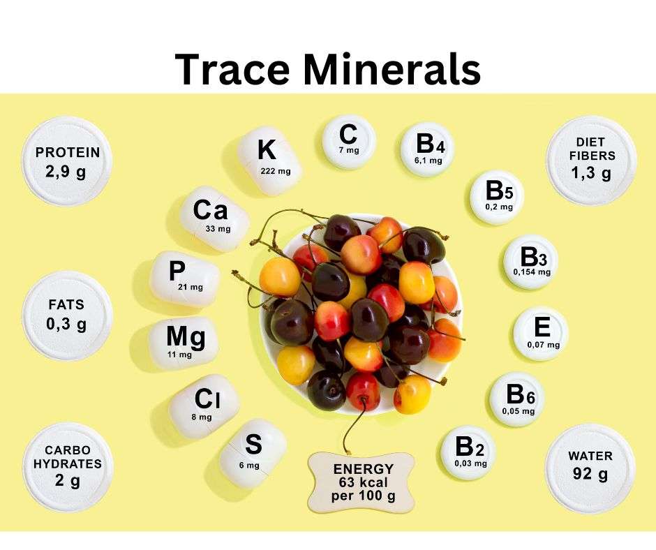 Trace minerals